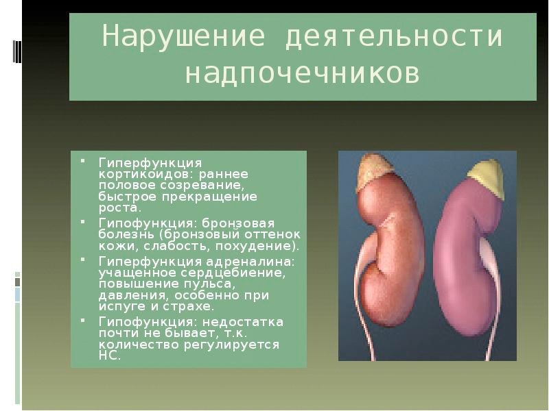 Гиперфункция и гипофункция надпочечников (мозгового слоя): симптомы и лечение