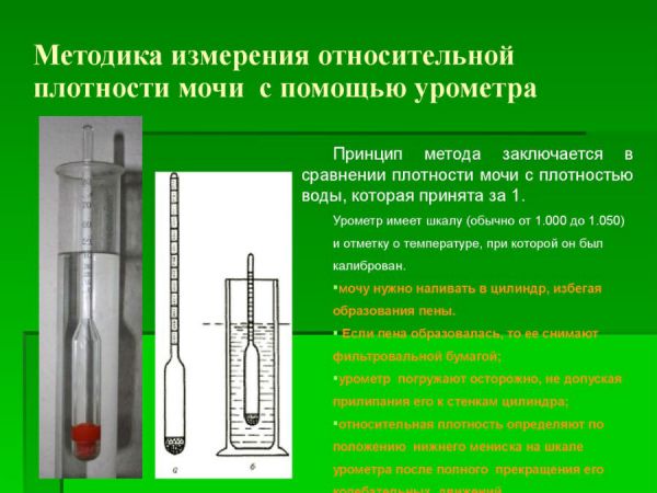 КРВ в анализе мочи: что это означает, норма leu, bld, neg