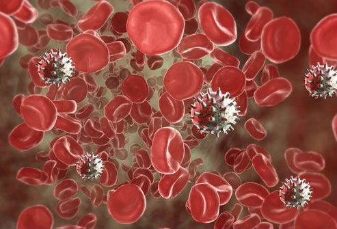 Общий анализ мочи: расшифровка результатов, таблица нормы у взрослых Общий анализ мочи: расшифровка результатов, таблица нормы у взрослых