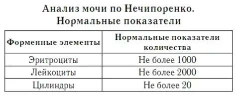 Как правильно сдавать общий анализ мочи: подготовка и правила сдачи