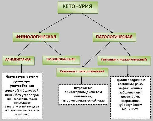Ацетон в моче у ребенка: причины, нормы, симптомы и лечение, диета