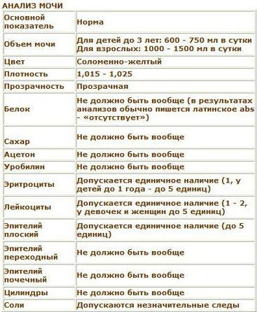 Норма лейкоцитов в моче у мужчин, причины повышения их уровня