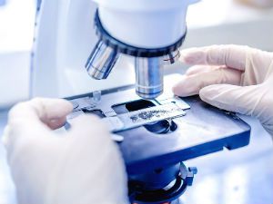 Анализ мочи на стерильность у ребенка, что показывает посев у беременных