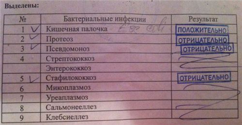 Бак посев мочи при беременности: как сдавать, расшифровка анализа