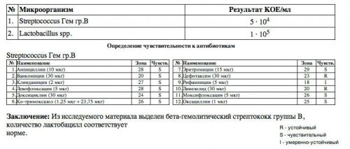 Посев мочи на флору: как сдавать бак посев, чувствительность к антибиотикам