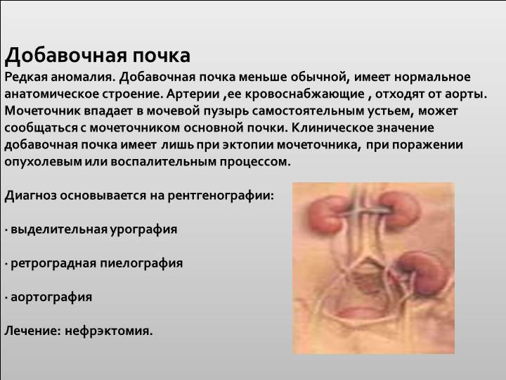 ЧЛС почек: что это такое, ее удвоение и расширение (левой и правой почки)
