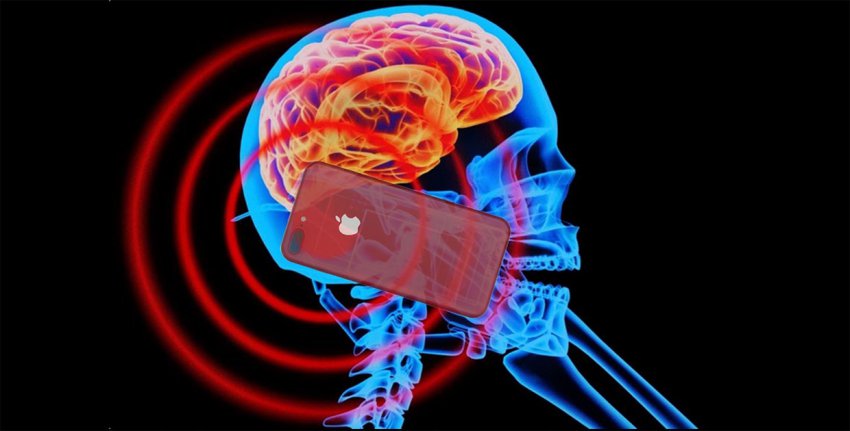 Рак, имунная система и телефонное излучение: что такое имунный ответ на онкозаболевание, каким образом на него оказывает влияние телефонное излучение