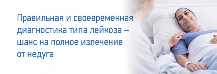 Современные методики лечения лейкоза и причины заболевания: лечится или нет, можно ли вылечить, у взрослых и детей