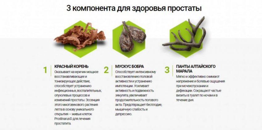 Капли от простатита Простодин: инструкция по применению, отзывы, состав