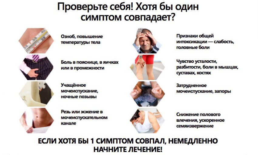 Капли от простатита Простодин: инструкция по применению, отзывы, состав