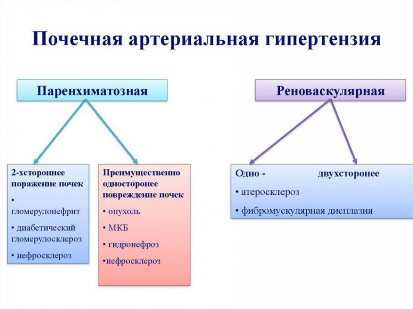 Почечная гипертония: симптомы, лечение артериальной гипертензии