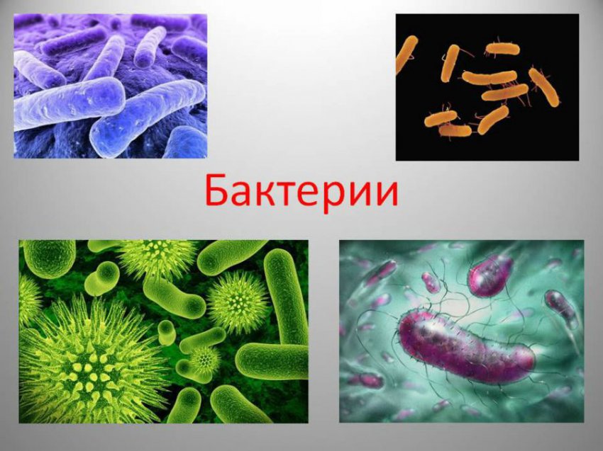 Профилактика простатита у мужчин в домашних условиях, эффективные лекарственные препараты