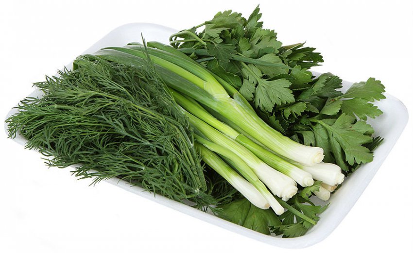 Что полезно для почек: какие продукты, травы и витамины полезны человеку