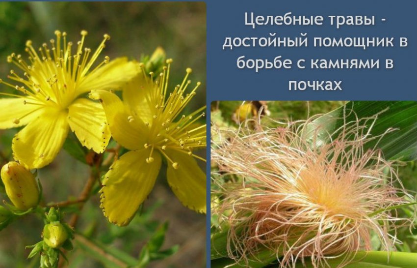 Лечение почечной колики в домашних условиях: как и чем снять