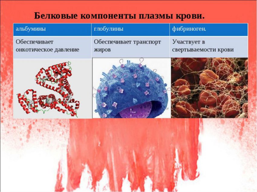 Альбуминурия (суточная): причины возникновения, разновидности