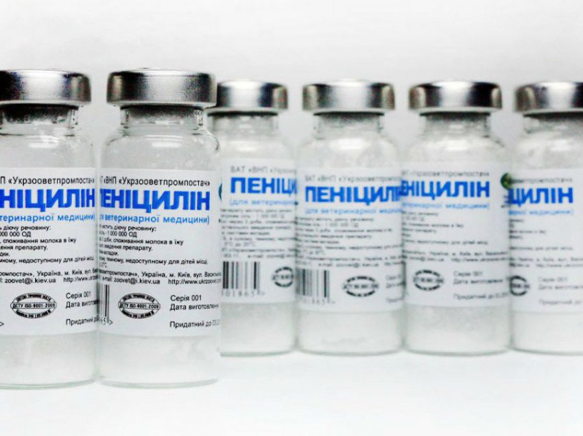 Розовая моча у ребенка, причины почему она красного цвета
