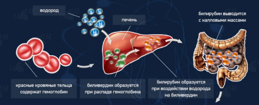 Моча темного цвета (темно-желтого): причины потемнения, что это значит