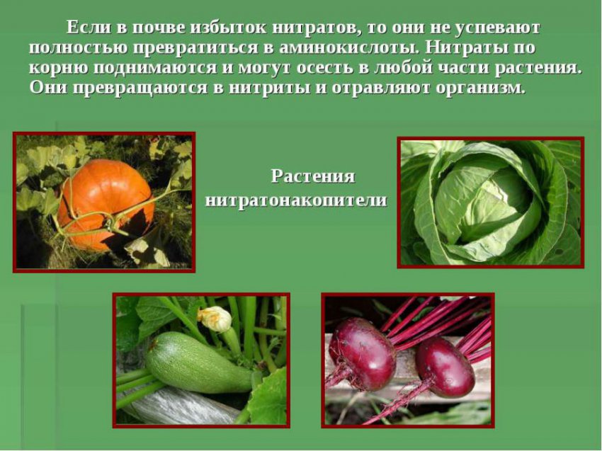 Нитриты в моче: что это значит у ребенка, женщин при беременности, причины